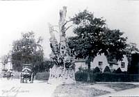 yeldham.jpg