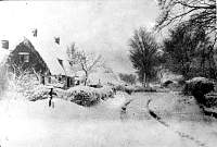 borleyGreeninthesnow.jpg