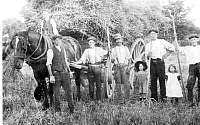 harvest.jpg
